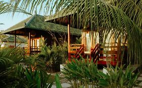 Kura Kura House